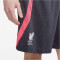 NIKE FC Liverpool Dri-FIT Strike Ausweichshorts Herren