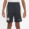NIKE FC Chelsea London Strike Dri-FIT Shorts Kinder