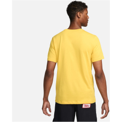 NIKE Dri-FIT kurzarm Fitnessshirt Herren