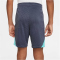 NIKE FC Barcelona Dri-FIT Strike Ausweichshorts Kinder