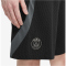 NIKE Paris Saint-Germain Dri-FIT Strike Ausweichshorts Herren
