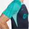 NIKE FC Barcelona Dri-FIT Strike Ausweich T-Shirt Herren