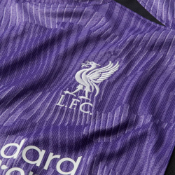 NIKE FC Liverpool Dri-FIT Stadium Ausweichtrikot Kinder