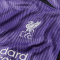 NIKE FC Liverpool Dri-FIT Stadium Ausweichtrikot Kinder