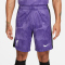 NIKE FC Liverpool Dri-FIT Stadium Ausweichshorts Herren
