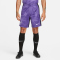NIKE FC Liverpool Dri-FIT Stadium Ausweichshorts Herren