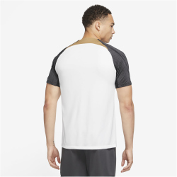 NIKE FC Chelsea London Strike Dri-FIT Fan-Shirt Herren