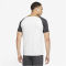 NIKE FC Chelsea London Strike Dri-FIT Fan-Shirt Herren