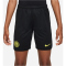 NIKE Inter Mailand Stadium Dri-FIT Heim/Auswärts Shorts 2022/23 Kinder