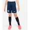 NIKE FC Chelsea London Stadium Dri-FIT Auswärtsshorts 2022/23 Kinder
