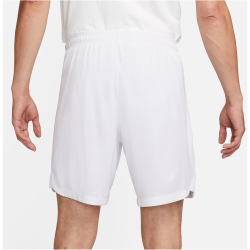 NIKE Inter Mailand Stadium Dri-FIT Heim/Auswärts Shorts 2023/24 Herren