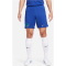 NIKE FC Chelsea London Stadium Dri-FIT Heimshorts 2023/24 Herren