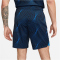 NIKE FC Chelsea London Stadium Dri-FIT Auswärtsshorts 2023/24 Herren