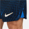 NIKE FC Chelsea London Stadium Dri-FIT Auswärtsshorts 2023/24 Herren