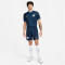 NIKE FC Chelsea London Stadium Dri-FIT Auswärtsshorts 2023/24 Herren