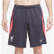 NIKE FC Liverpool Dri-FIT Strike Ausweichshorts Herren 015 - gridiron/hot punch/white S