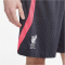 NIKE FC Liverpool Dri-FIT Strike Ausweichshorts Herren 015 - gridiron/hot punch/white S