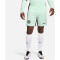 NIKE FC Chelsea London Dri-FIT Stadium Ausweichshorts Herren 353 - mint foam/black S