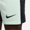 NIKE FC Chelsea London Dri-FIT Stadium Ausweichshorts Herren 353 - mint foam/black S
