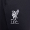 NIKE FC Liverpool Dri-FIT Strike Ausweich Trainingshose Herren 015 - gridiron/white XS