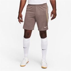 NIKE Tottenham Hotspur Dri-FIT Strike Ausweichshorts...