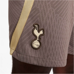 NIKE Tottenham Hotspur Dri-FIT Strike Ausweichshorts Herren 004 - ironstone/wheat grass/team gold S