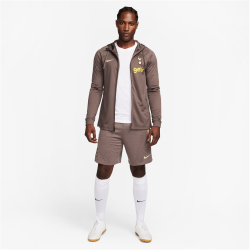 NIKE Tottenham Hotspur Dri-FIT Strike Ausweichshorts Herren 004 - ironstone/wheat grass/team gold S