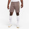 NIKE Tottenham Hotspur Dri-FIT Strike Ausweichshorts Herren 004 - ironstone/wheat grass/team gold S