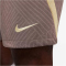NIKE Tottenham Hotspur Dri-FIT Strike Ausweichshorts Herren 004 - ironstone/wheat grass/team gold S