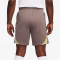 NIKE Tottenham Hotspur Dri-FIT Strike Ausweichshorts Herren 004 - ironstone/wheat grass/team gold S