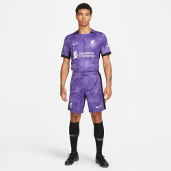 NIKE FC Liverpool Dri-FIT Stadium Ausweichshorts Herren 567 - space purple/court purple/white S