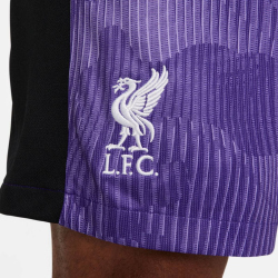 NIKE FC Liverpool Dri-FIT Stadium Ausweichshorts Herren 567 - space purple/court purple/white S