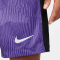 NIKE FC Liverpool Dri-FIT Stadium Ausweichshorts Herren 567 - space purple/court purple/white S