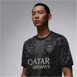 NIKE Paris Saint-Germain Dri-FIT Stadium Ausweichtrikot Herren 069 - anthracite/black/stone S