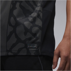 NIKE Paris Saint-Germain Dri-FIT Stadium Ausweichtrikot Herren 069 - anthracite/black/stone S