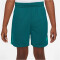 NIKE Multi Dri-FIT Graphic Trainingsshorts Jungen 381 - geode teal/clear jade ii/clear jade ii S (128-137 cm)