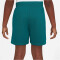 NIKE Multi Dri-FIT Graphic Trainingsshorts Jungen 381 - geode teal/clear jade ii/clear jade ii S (128-137 cm)