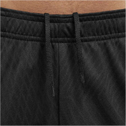 NIKE Inter Mailand Strike Dri-FIT Shorts Herren 010 - black/white S