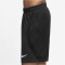 NIKE Inter Mailand Strike Dri-FIT Shorts Herren 010 - black/white S