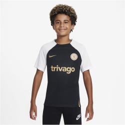 NIKE FC Chelsea London Strike Dri-FIT Fan-Shirt Kinder...