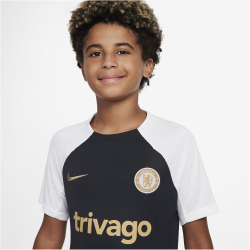 NIKE FC Chelsea London Strike Dri-FIT Fan-Shirt Kinder...