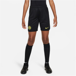NIKE Inter Mailand Stadium Dri-FIT Heim/Auswärts...