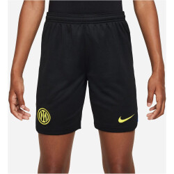 NIKE Inter Mailand Stadium Dri-FIT Heim/Auswärts...