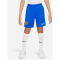 NIKE FC Barcelona Stadium Dri-FIT Ausw&auml;rtsshorts 2022/23 Kinder 463 - royal blue/white XL (158-170 cm)