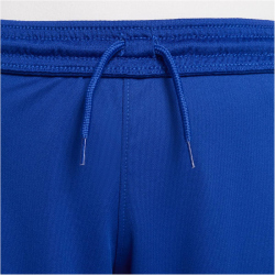 NIKE FC Chelsea London Stadium Dri-FIT Heimshorts 2022/23 Kinder 495 - rush blue/club gold XS (122-128 cm)
