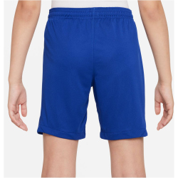 NIKE FC Chelsea London Stadium Dri-FIT Heimshorts 2022/23 Kinder 495 - rush blue/club gold XS (122-128 cm)