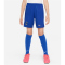 NIKE FC Chelsea London Stadium Dri-FIT Heimshorts 2022/23 Kinder 495 - rush blue/club gold XS (122-128 cm)