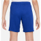 NIKE FC Chelsea London Stadium Dri-FIT Heimshorts 2022/23 Kinder 495 - rush blue/club gold XS (122-128 cm)