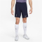 NIKE Tottenham Hotspur Stadium Dri-FIT Ausw&auml;rtsshorts 2023/24 Herren 459 - marine/hologram S