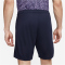 NIKE Tottenham Hotspur Stadium Dri-FIT Ausw&auml;rtsshorts 2023/24 Herren 459 - marine/hologram S
